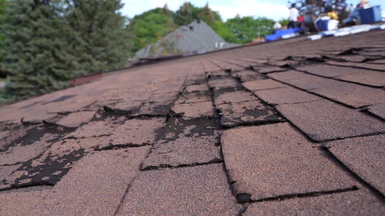 Trusted Shullsburg, WI Roofing Service Experts